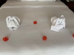 -三亚亚龙湾雅高铂尔曼别墅度假酒店