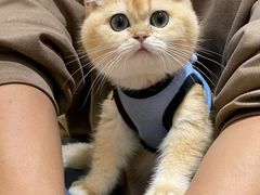 -爱诺耐芙动物医院(万博店)