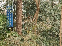 -大蜀山国家森林公园