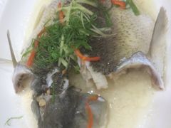 -凯盈阁·顺德私房菜·桑拿鸡
