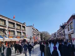 -古树酸奶(八廓南街店)