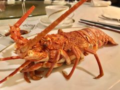 -唐阁(香港朗廷酒店)