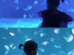 -华夏文旅西安度假区