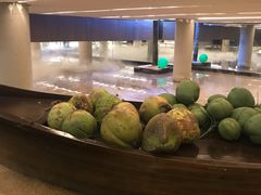 -大头椰·椰子鸡火锅(南宁万象城店)