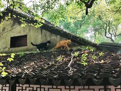 -西园戒幢律寺