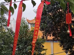 -长春观