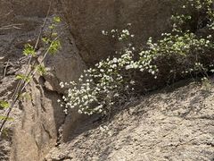 -昆嵛山石门里景区