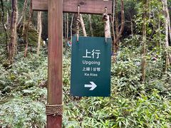 -姑婆山旅游区