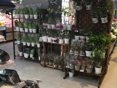 -盒马鲜生(大成店)