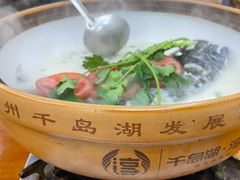 -全乐鱼馆·淳牌有机鱼直营店