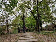 -秀丽东方