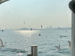 -桥乡缘过桥米线(胜利街店)