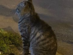 -朝族高丽火盆(长白山总店)