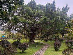 -南宁南湖公园