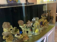 -网鱼网咖·电竞(中山友好广场店)
