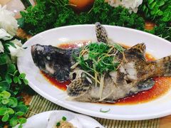 清蒸石斑鱼-刘记糟粕醋海鲜烧烤