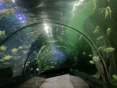 -西安曲江海洋极地公园