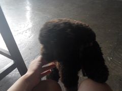 -赢吧Bliss音乐酒吧