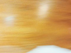 -东镇老火锅(高新区店)