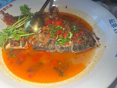 -坛宗剁椒鱼头(河西王府井店)