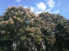 -苏州河梦清园环保主题公园