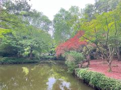 -秋霞圃
