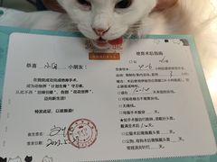 -瑞派雷欧宠物医院·24h夜诊·心脏骨科牙科·全科重症转诊中心(无影山店)