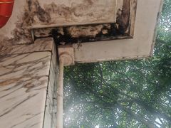 -南宁良凤江国家森林公园