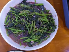 -全乐鱼馆·淳牌有机鱼直营店