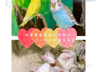 六一遛娃可以撩萌宠的乐园，亲子票一大一小性价比高