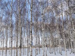 -长春市南湖公园