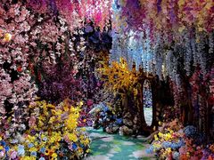 -正佳雨林生态植物园