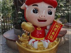 -深圳野生动物园