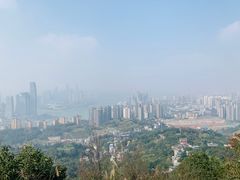 -南山植物园