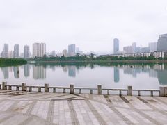 -白鹭洲公园