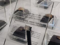 -北京周口店北京人遗址博物馆