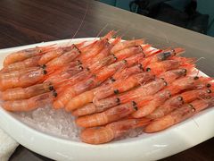 -黑松白鹿(金融街店)