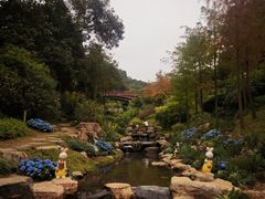 -云溪植物园
