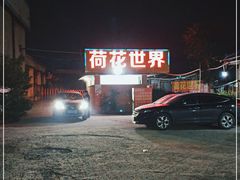 -新荷花世界