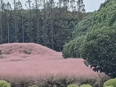-嘉北郊野公园