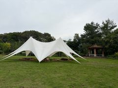 -广州市流溪河国家森林公园