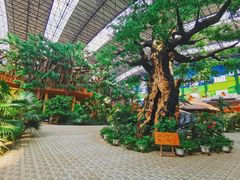 -沈阳龙润夏宫温泉水乐园