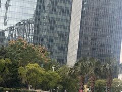 -招商银行(上海分行营业部)