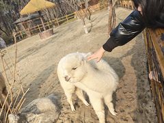 -茅山东方盐湖城景区