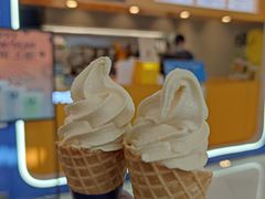 -春丽小马(济南恒隆广场店)
