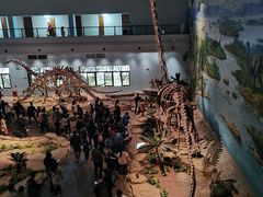 -自贡恐龙博物馆