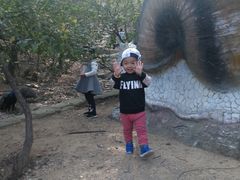 -大连森林动物园