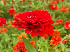 -白马涧龙池景区