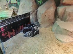 -酷嗒动物文化乐园(cutezoo西溪乐天城店)