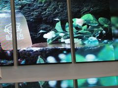 -丘大叔柠檬茶(来福士广场分店)